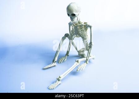 Model of artificial Human Skeleton on gray background Stock Photo
