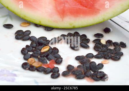 Watermelon seeds on the plate Stock Photo