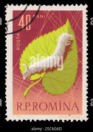 Romania - circa 1963: Postage stamp with vintage illustration of silkworm caterpillar on green leaf. Stock Photo