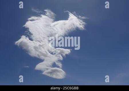 Single white cloud and blue sky on windy day. Stock Photo