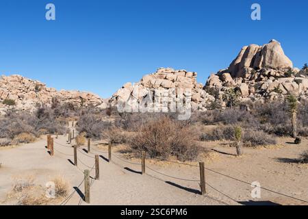 the start of the Barker Dam trail in Joshua Tree National Park in the California desert Stock Photo