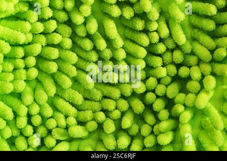 green microfiber cleaning mitt surface with fingers background texture Stock Photo