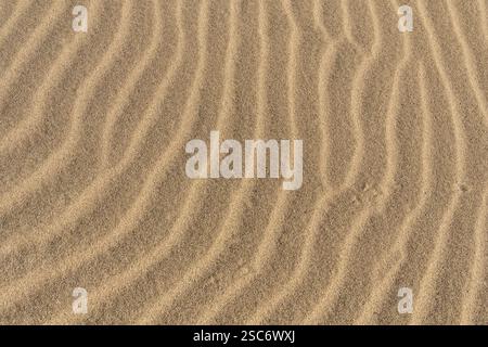 sand ripples background texture in the Mojave desert Stock Photo