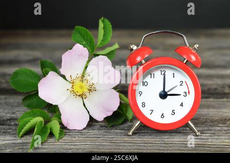 Spring forward. Daylight saving time. Summer time change Stock Photo