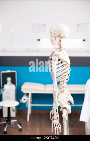 Human skeleton model positioned in a split pose on a black background ...