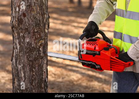 Male lumberjack sawing tree in forest, closeup Stock Photo