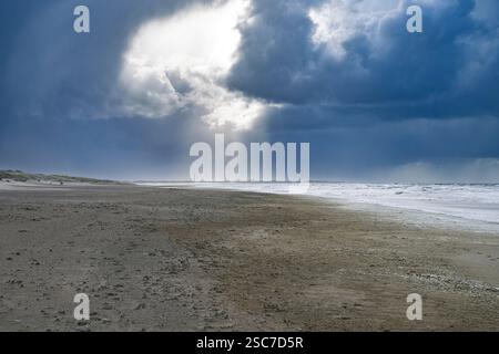 A dramatic seascape with dark storm clouds and sun rays breaking through, illuminating the sandy beach and ocean waves. Stock Photo