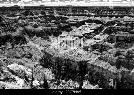 A black and white photo of a desert landscape. The photo is of a canyon with a river running through it Stock Photo