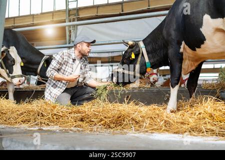 Male farmer working on a livestock farm Stock Photo