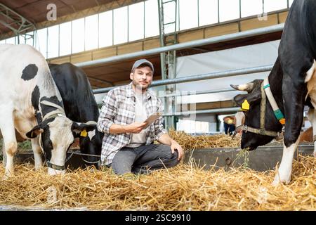 Male farmer with cows on a livestock farm Stock Photo