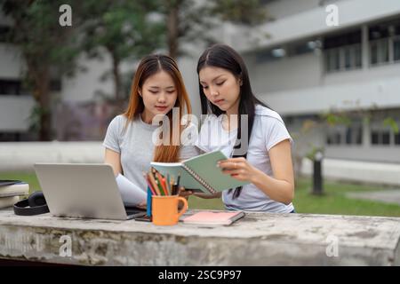 Two studious students collaborating outdoors with notebooks and a laptop, focused on their academic assignments Stock Photo
