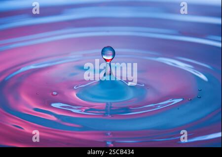 Water drop falling into water making a perfect concentric circles Stock Photo