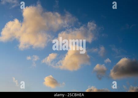 Fluffy clouds in a blue sky warmly lit by golden evening sunshine Stock Photo