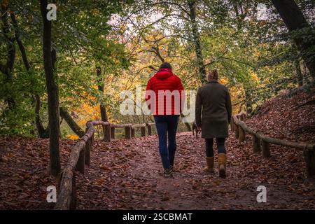 Two people walk through the autumn forest in the Bokkeduinen estate near Amersfoort. Stock Photo