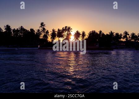 Sunset over the palm trees in Zanzibar, Tanzania Stock Photo