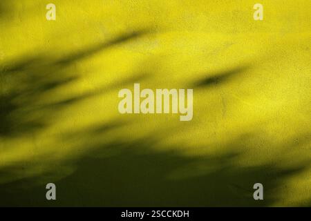 Plant and leaves shadow on a yellow wall of a house. Photo suitable for background or design backdrop. Beautiful light texture and copy space for grap Stock Photo