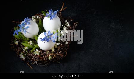 easter nest with white eggs and first spring flowers on a black background. holiday still life, festive decor. Idea for decorating the table for Easte Stock Photo
