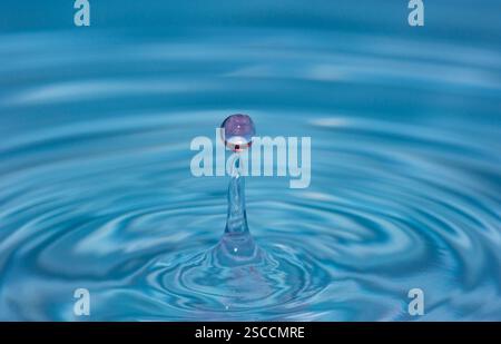 Water drop falling into water making a perfect concentric circles Stock Photo