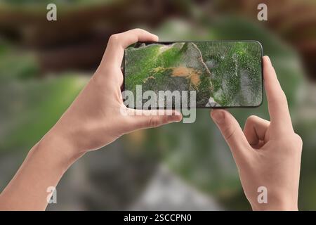 Man using mobile phone to recognize disease of house plant, closeup. Finder app Stock Photo
