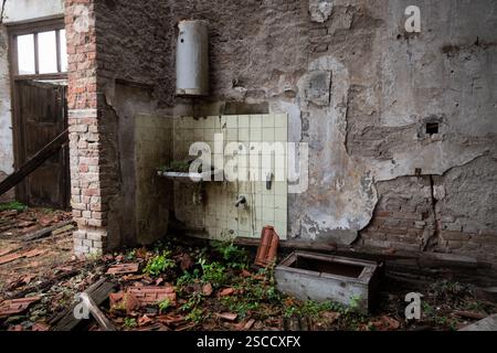Sink full of dirt with plants in abandoned building mounted on wall covered with tiles and damaged boiler above sink Stock Photo