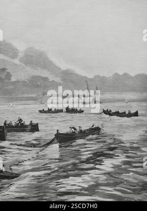 spain-sardine-fishing-off-the-