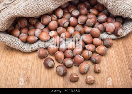 Sack of hazelnut. Ripe hazelnuts in shell. Background image of pile of dried shelled hazelnuts. Stock Photo