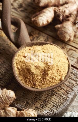 Ground ginger powder on a spoon with fresh ginger root Stock Photo