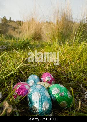 Easter eggs in grass in meadow Stock Photo