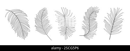 Palm leaves outline clipart set. Palm leaf and coconut drawing icon clip art collection in summer tropical leaves line art symbol vector illustration. Stock Vector