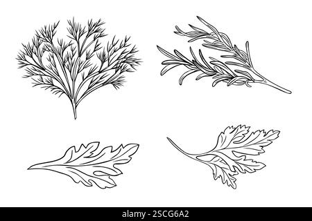 Fresh herbs various black white vector illustration. Parsley, rosemary, fennel, dill monochrome simple drawing. Culinary herbs in line art painted Stock Vector