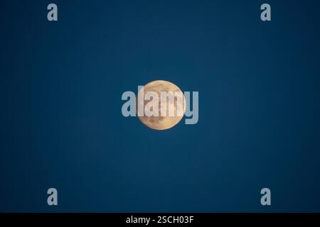 A full moon during saturated blue night Stock Photo