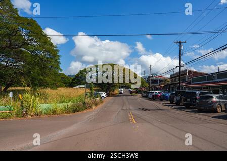 Sunny Rural Street Scene with Large Tree and Small Storefronts Stock Photo
