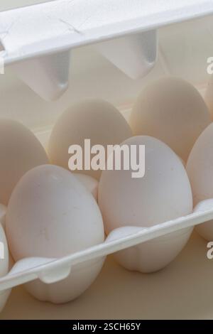 Chicken eggs in the cassette box on a white background Stock Photo - Alamy