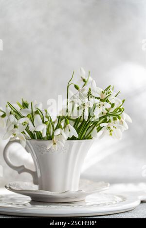 Delicate spring snowdrops showcased in an ornate white cup, set on a matching saucer with a gentle, luminous background. Stock Photo