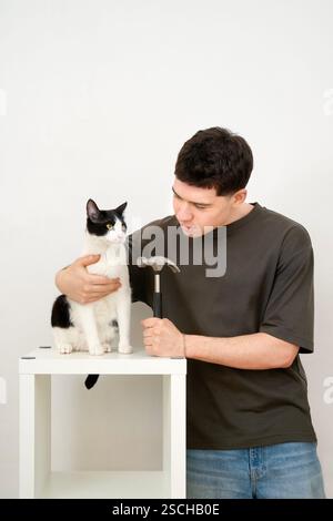 A young man assembles new furniture while holding a small hammer, a black and white cat beside him on a white table against a light background. Stock Photo