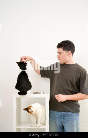 A young man engages playfully with two cats, a black and a white one, while assembling a white furniture shelf. Stock Photo