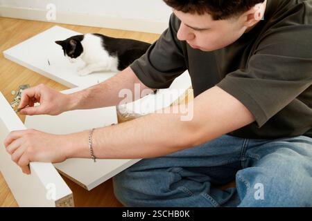 A man is engaged in assembling a new piece of furniture, sitting on the floor with tools and materials around him. A curious cat accompanies him, addi Stock Photo