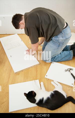 A man is seen assembling new white furniture on a wooden floor, with a black and white cat playfully lying nearby. The image captures the man and the Stock Photo