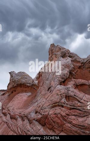 Majestic, swirling rock formations at White Pocket, Arizona, USA, set against a backdrop of dark, stormy clouds, showcasing the unique geological text Stock Photo