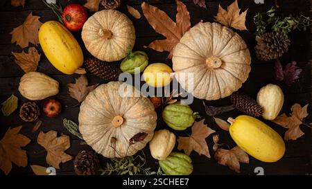 An arrangement of pumpkins, pine cones, and autumn leaves on a dark wooden background, representing the bounty and colors of fall. Ideal for seasonal Stock Photo