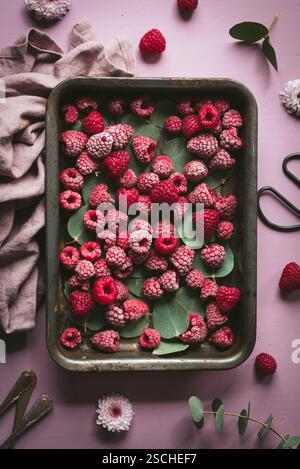 A tray of frozen raspberries with scattered eucalyptus leaves on a pink surface, surrounded by flowers and cloth, creating a natural and rustic settin Stock Photo