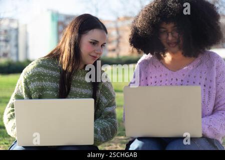 Two friends working on laptops in a park. They are collaborating and engaged, enjoying the sunny day while focusing on their tasks. Stock Photo