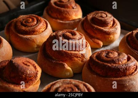 Tasty cinnamon rolls on baking tray, closeup Stock Photo