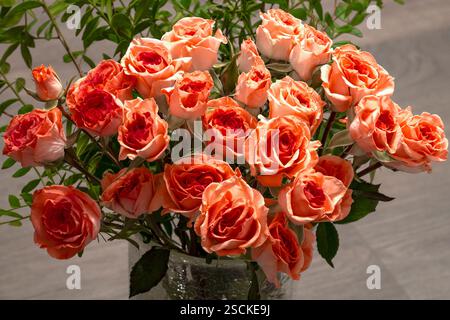 Bouquet of pink miniature roses on a gray background Stock Photo