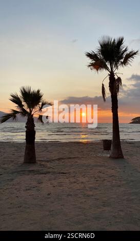 Beautiful orange sun setting between two palm trees on a sandy beach Stock Photo