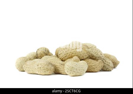 Peanut nuts isolated, peanut seeds isolate, white background, peanut nut isolated on white Stock Photo