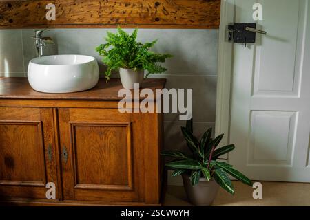 A beautifully crafted wooden cabinet holds a sleek sink while lush plants enhance the charm of the bathroom. Stock Photo