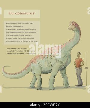 Europasaurus Size Discovered in 1999 in modern day Europe, Europasaurus is a relatively ...