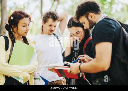 Multicultural students collaborating on schoolwork in park environment Stock Photo
