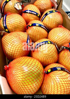 pomelo, sweet pomelo, red pomelo, fruits, warehouse, storage, agriculture, food supply, distribution, supply chain Stock Photo